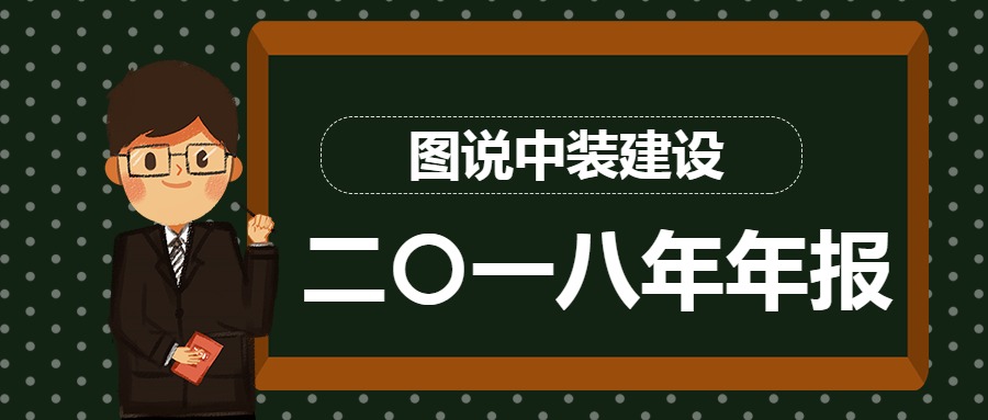 图说乐投(中国)一站式服务平台2018年年报